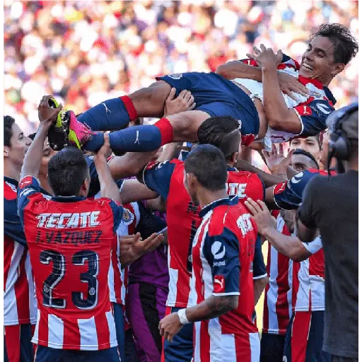 chivas
