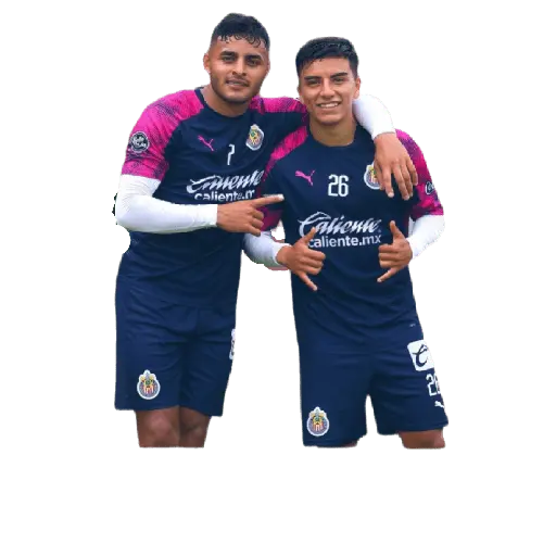 chivas