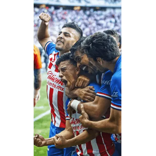 chivas