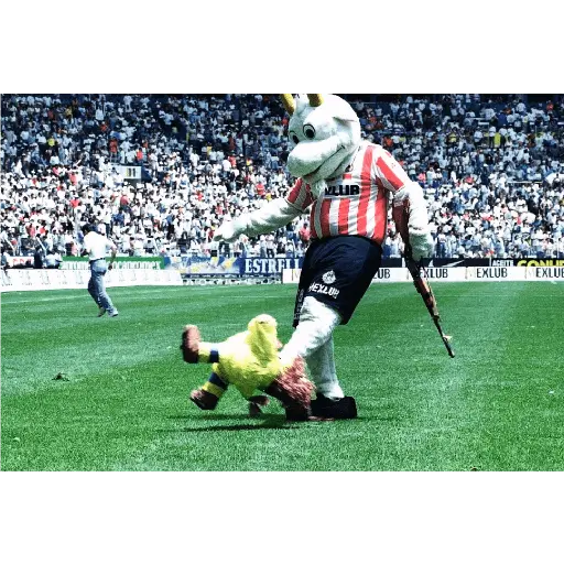 chivas