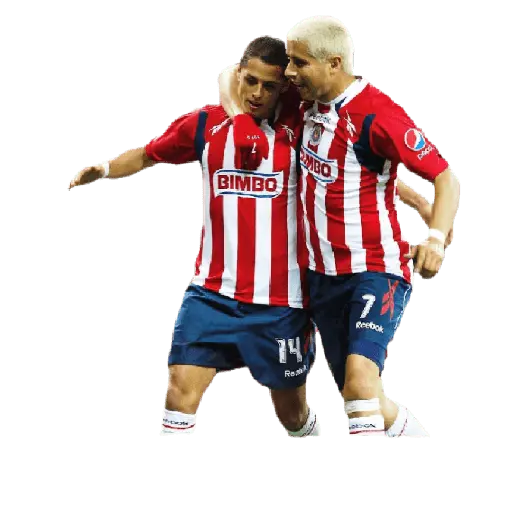 chivas