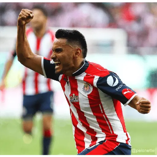 chivas