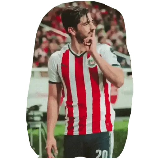 chivas