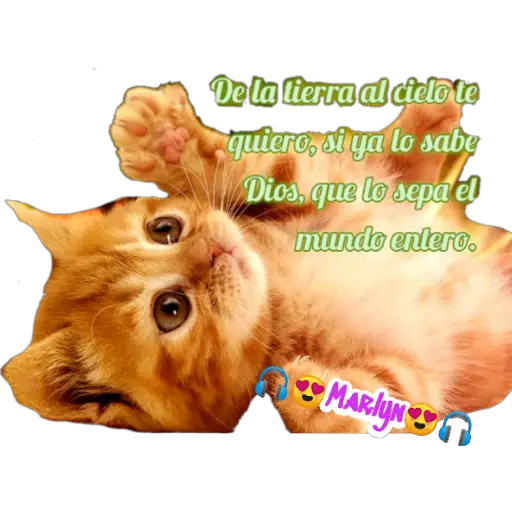 variados 🐕🐈 