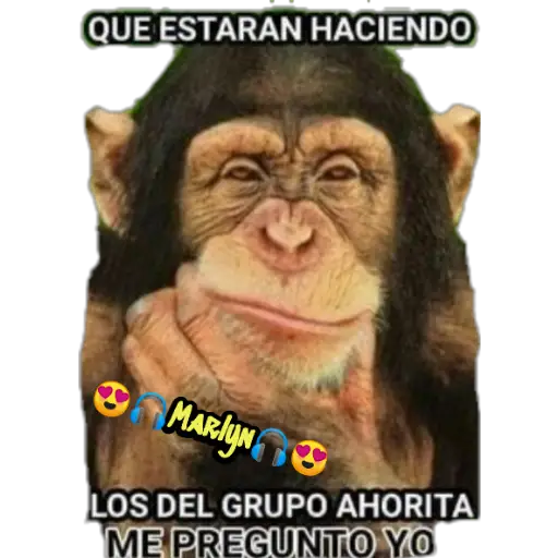 variados 🐕🐈 