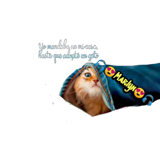 variados 🐕🐈 