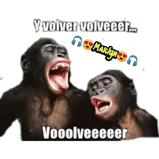 variados 🐕🐈 