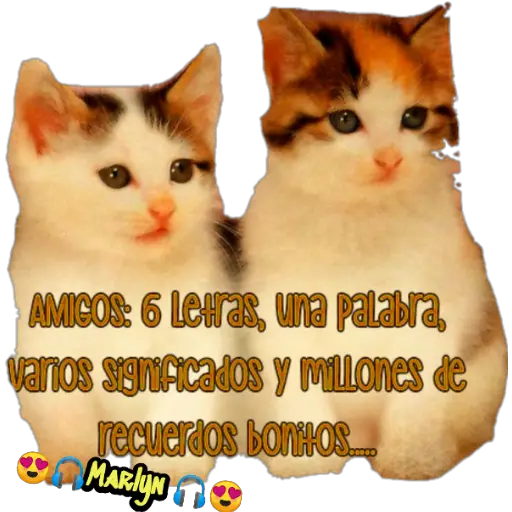 variados 🐕🐈 