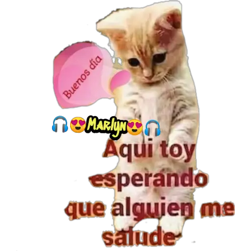 variados 🐕🐈 