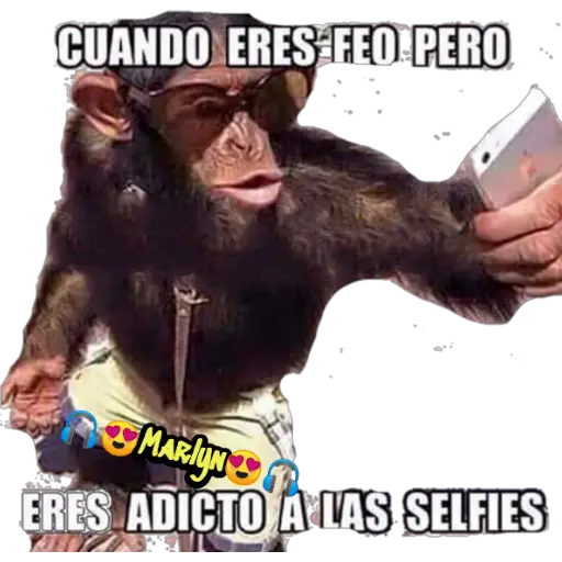 variados 🐕🐈 