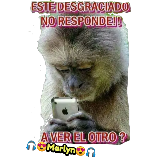 variados 🐕🐈 