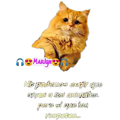 variados 🐕🐈 
