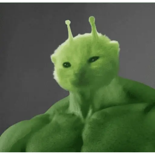 Alien Gato Meme 🛸👽🐱