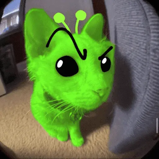 Alien Gato Meme 🛸👽🐱