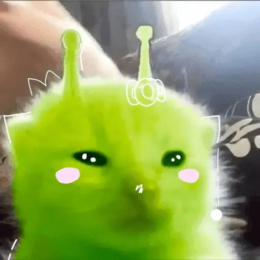 Alien Gato Meme 🛸👽🐱
