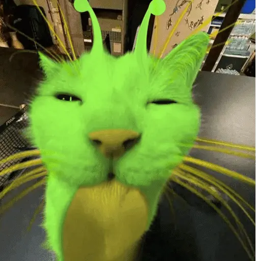 Alien Gato Meme 🛸👽🐱