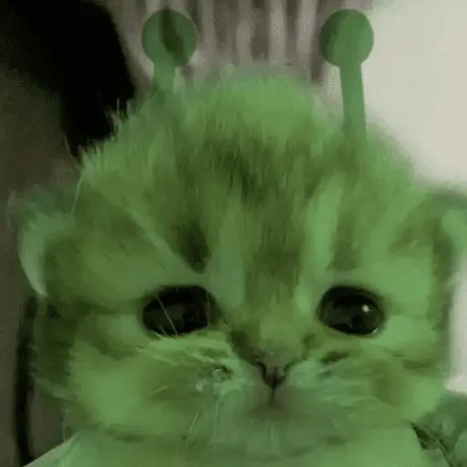 Alien Gato Meme 🛸👽🐱