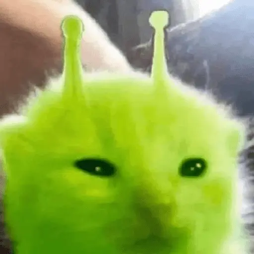 Alien Gato Meme 🛸👽🐱