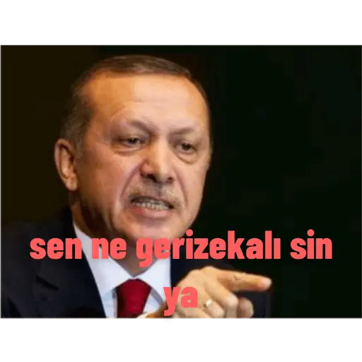 RECEP TAYYİP ERDOĞAN MOMENTS