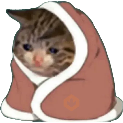 Memes 5️⃣6️⃣ sticker 12