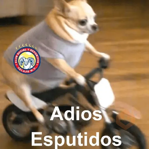 Memes 5️⃣6️⃣ sticker 14