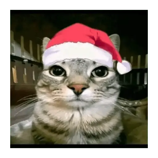 Christmas/Navidad/Diciembre🎅