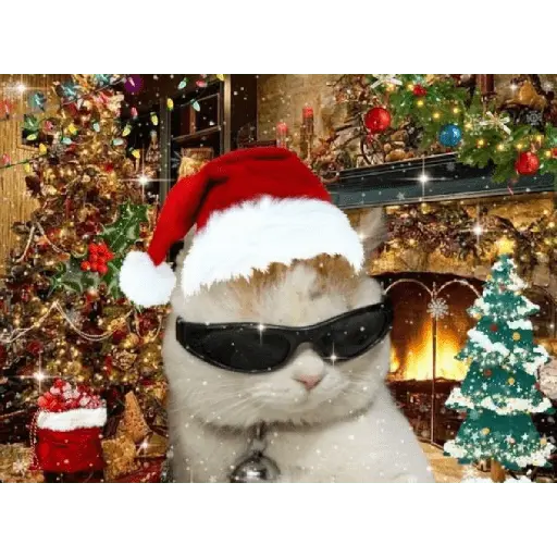 Christmas/Navidad/Diciembre🎅