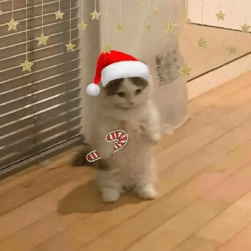 Christmas/Navidad/Diciembre🎅