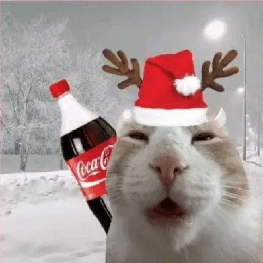 Christmas/Navidad/Diciembre🎅