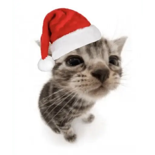 Christmas/Navidad/Diciembre🎅