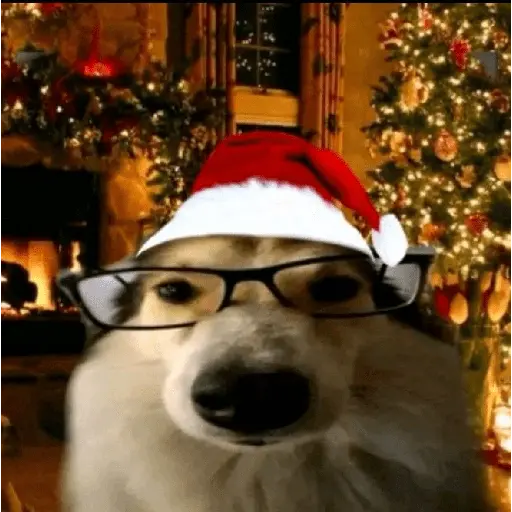 Christmas/Navidad/Diciembre🎅
