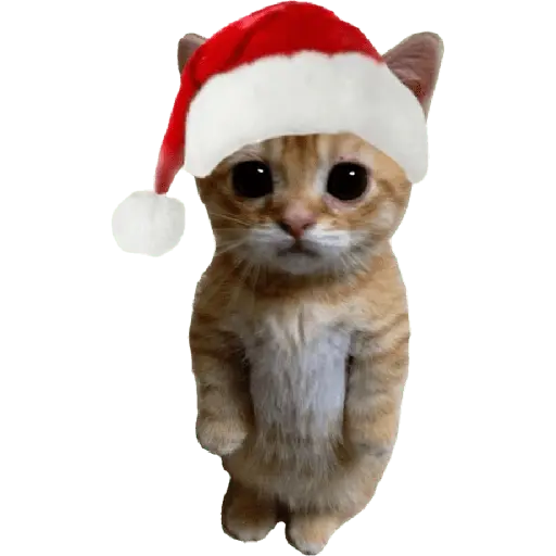 Christmas/Navidad/Diciembre🎅