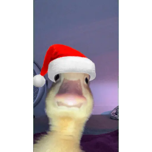 Christmas/Navidad/Diciembre🎅