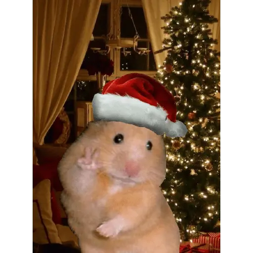 Christmas/Navidad/Diciembre🎅