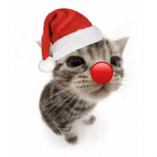 Christmas/Navidad/Diciembre🎅