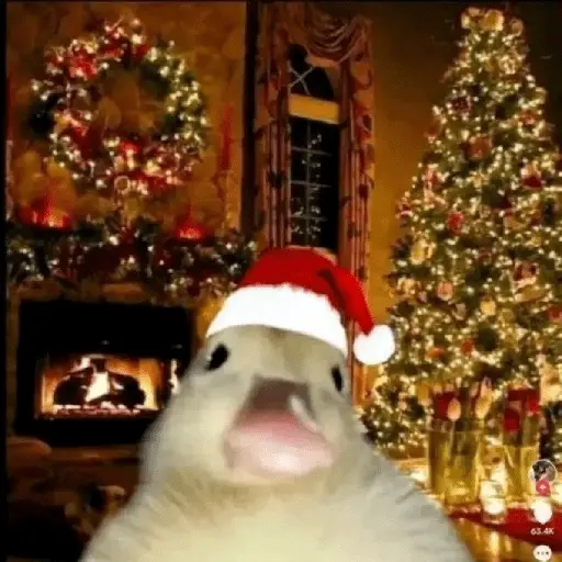 Christmas/Navidad/Diciembre🎅