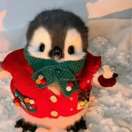 Christmas/Navidad/Diciembre🎅