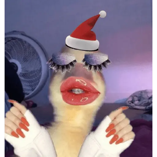 Christmas/Navidad/Diciembre🎅