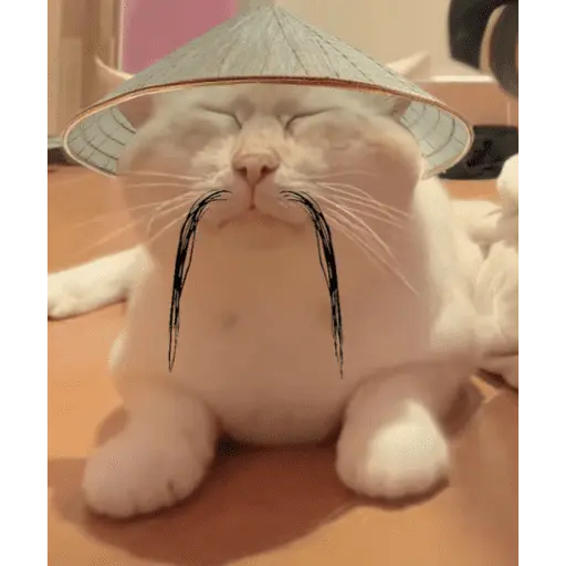 Gato Calajo - Meme chino 🧧👲🐱