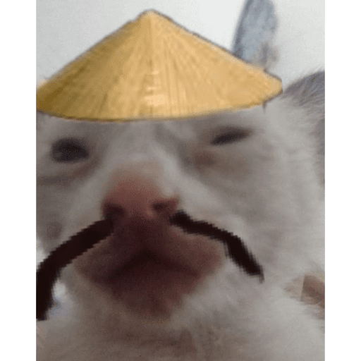 Gato Calajo - Meme chino 🧧👲🐱 preview
