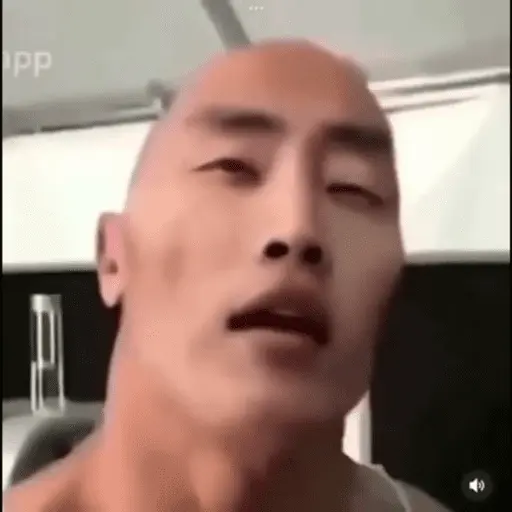 Gato Calajo - Meme chino 🧧👲🐱