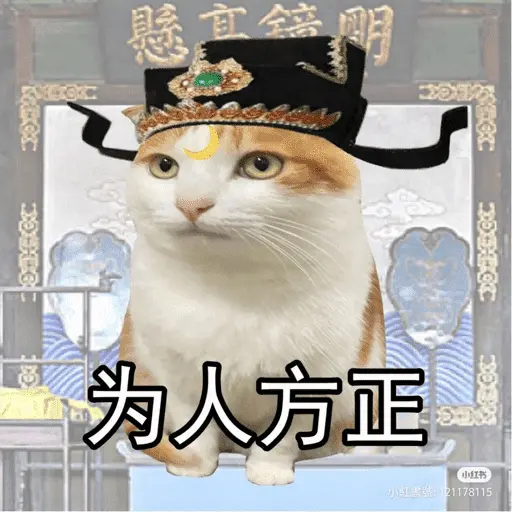 Gato Calajo - Meme chino 🧧👲🐱