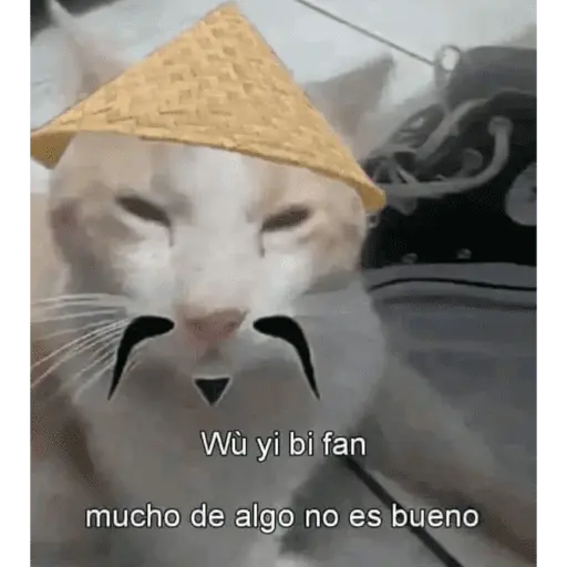 Gato Calajo - Meme chino 🧧👲🐱
