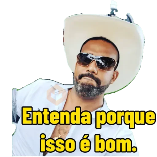 Minhas figurinhas sticker 27
