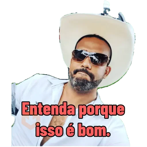 Minhas figurinhas sticker 26