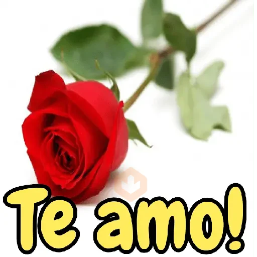 Rosas 🌺⚘🌷 sticker 23