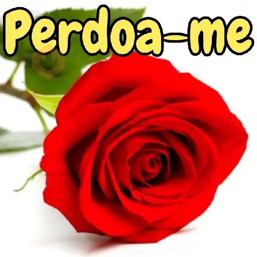 Rosas 🌺⚘🌷 sticker 25