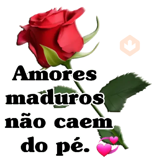 Rosas 🌺⚘🌷 sticker 24