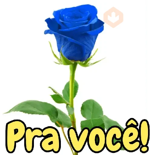 Rosas 🌺⚘🌷 sticker 12