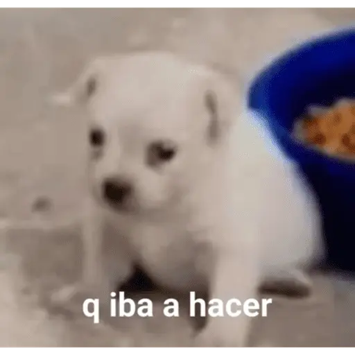 🫂abrazo